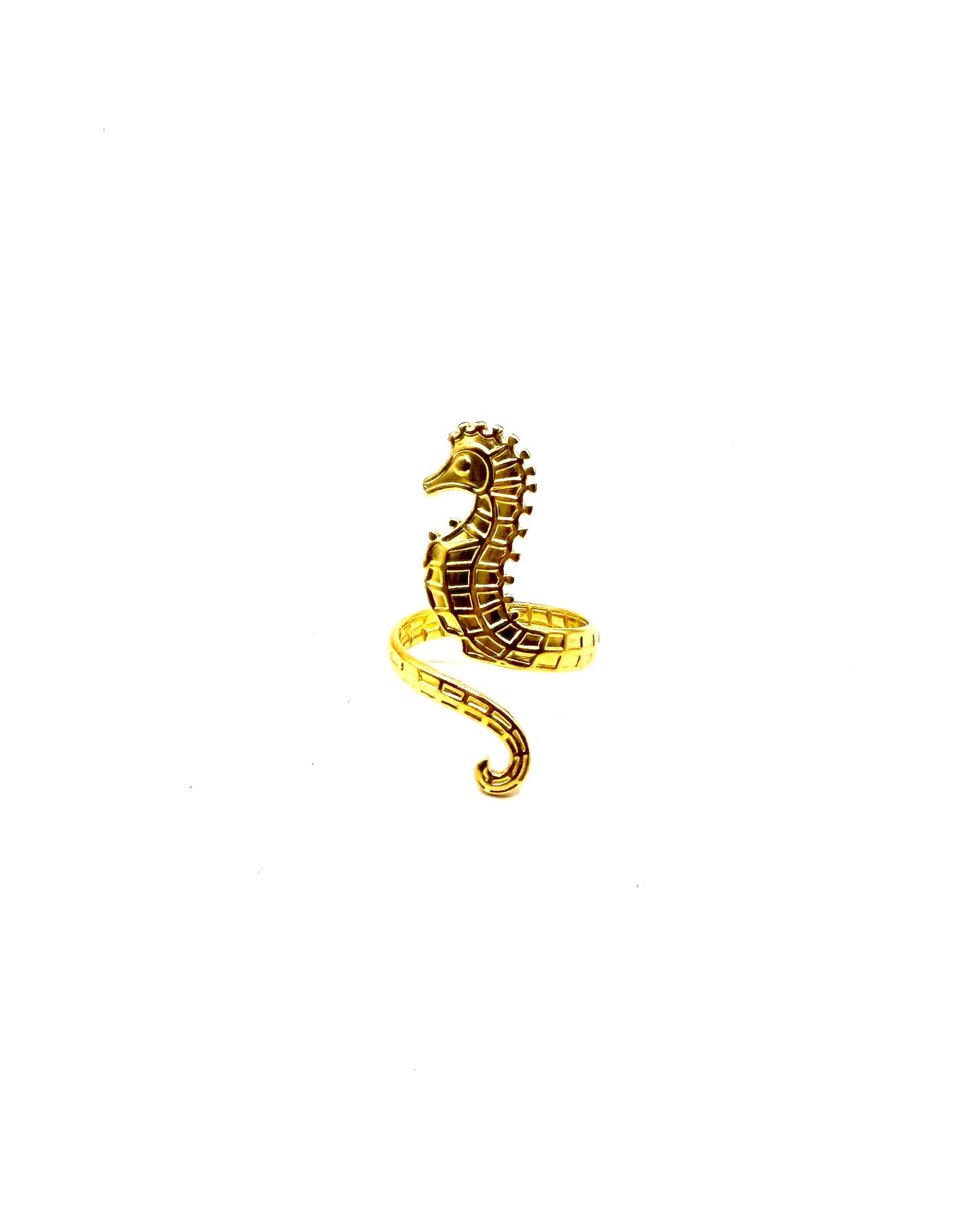 Sea Ring