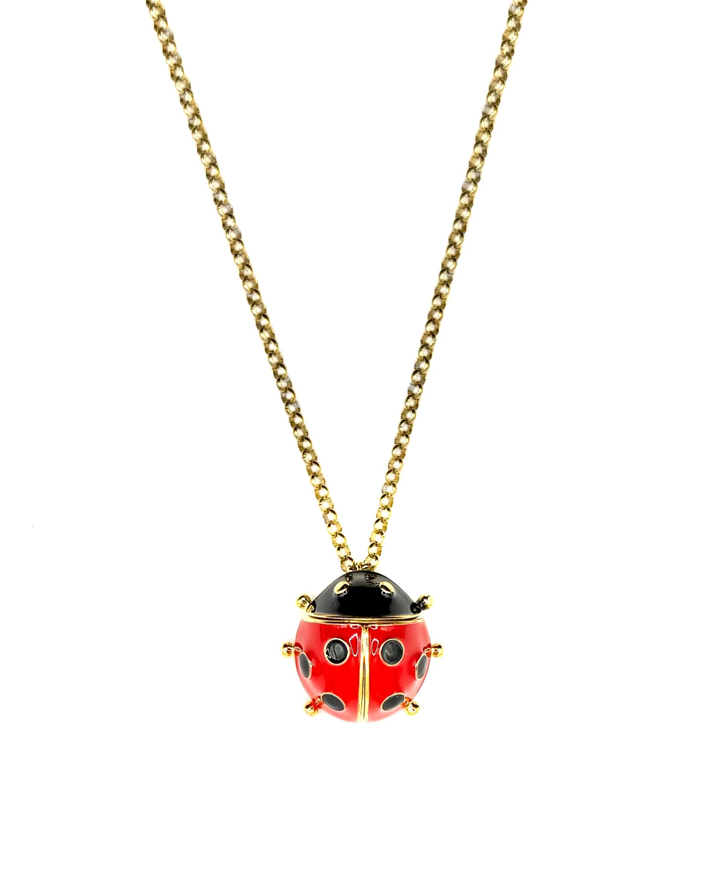 Lucky Necklace