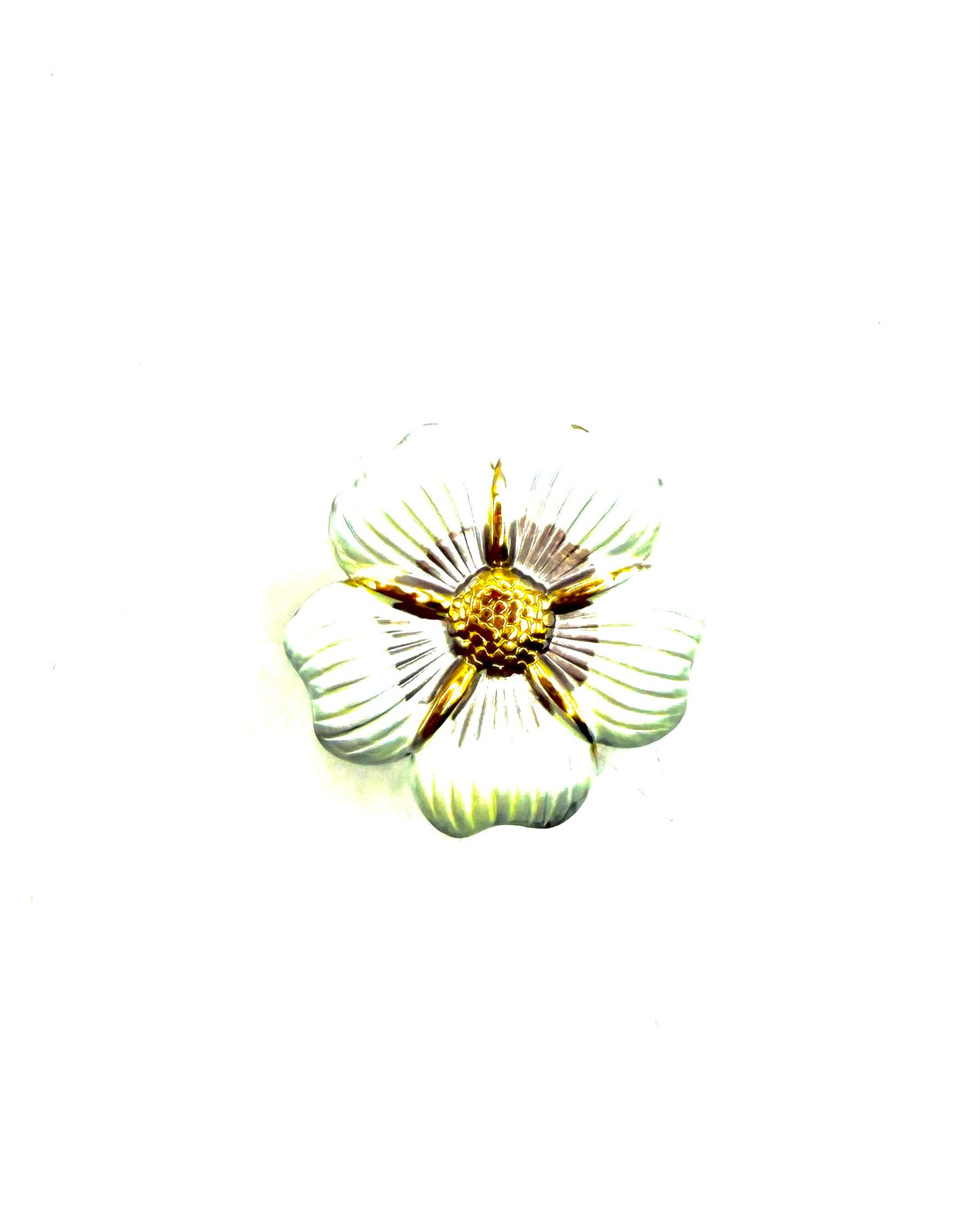 Hawaii Ring White